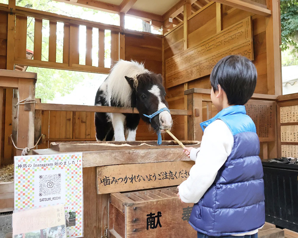 第2回入選1 第2回入選1