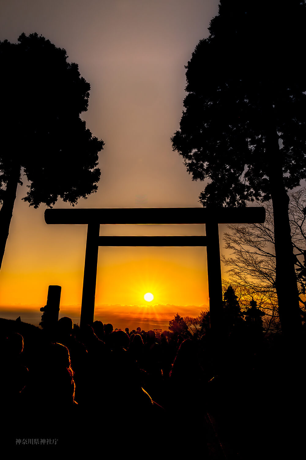 銅賞③