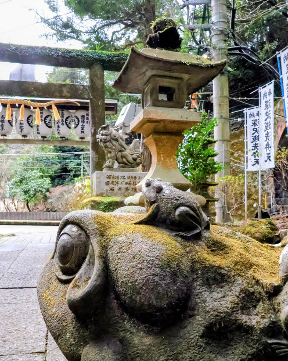 入選②
