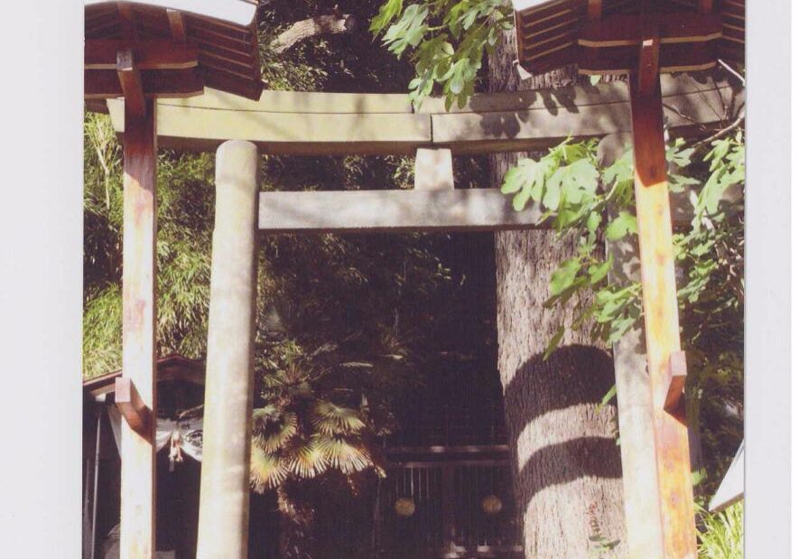 1202005