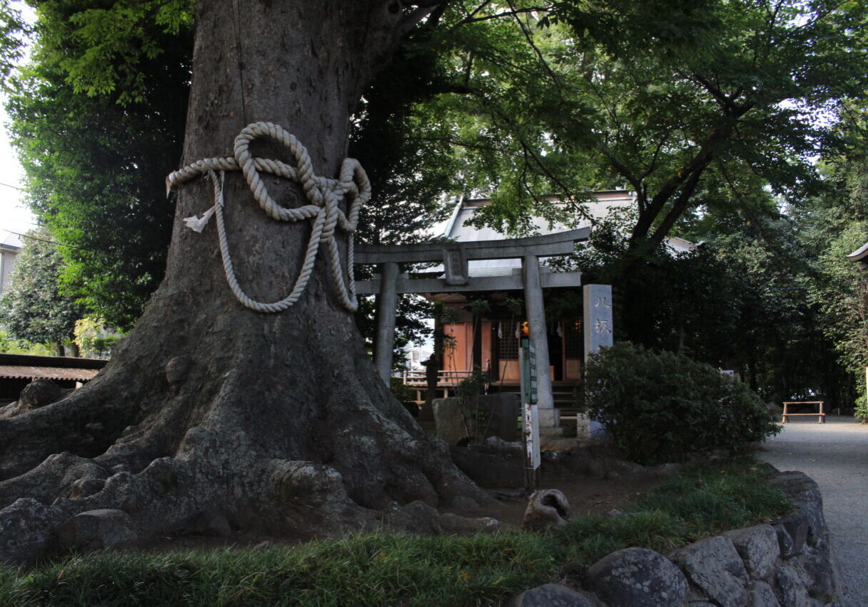 八坂神社_秦野市平沢1224